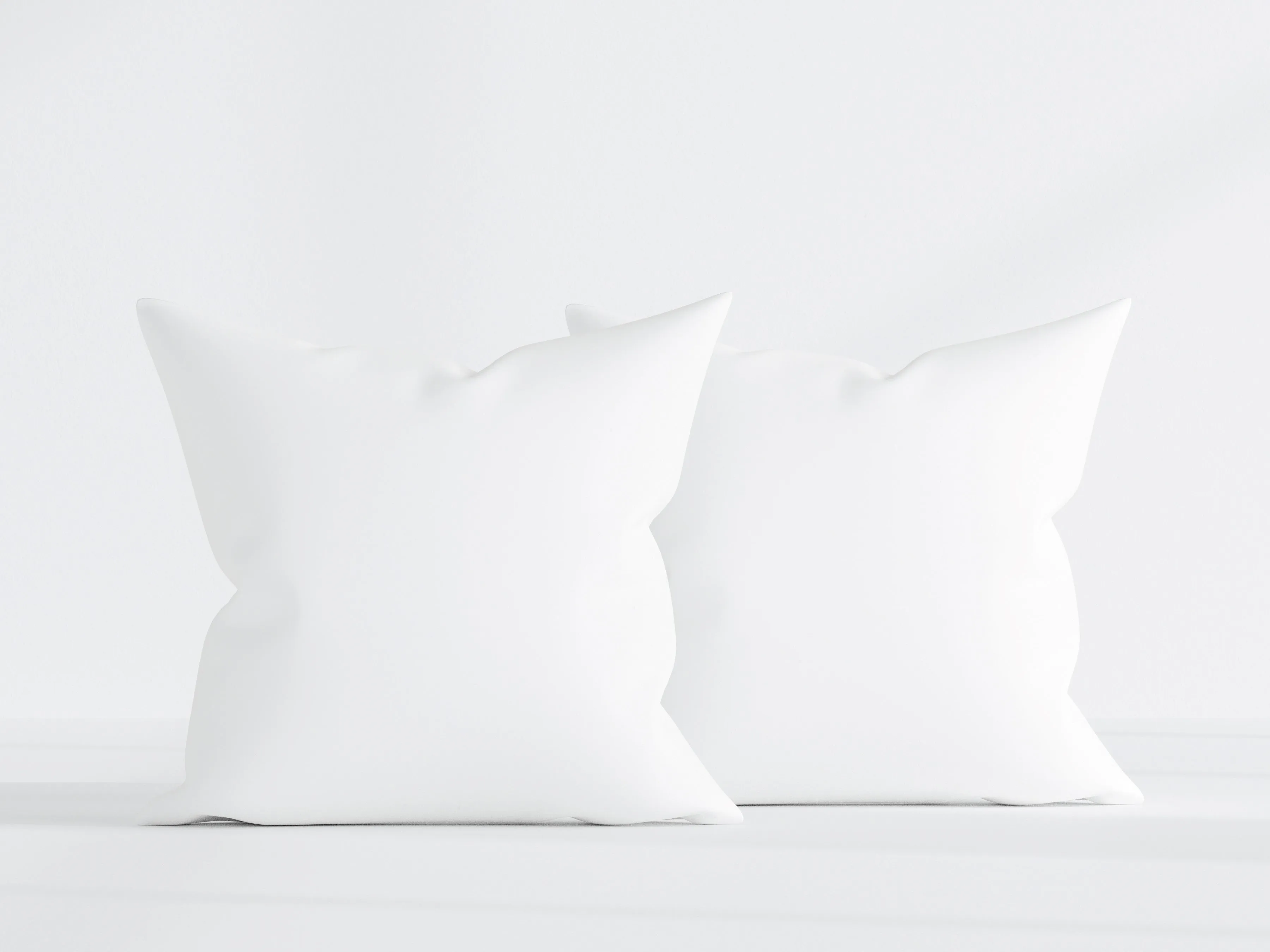 Pillowtex Pillow Insert | 80% White Goose Down