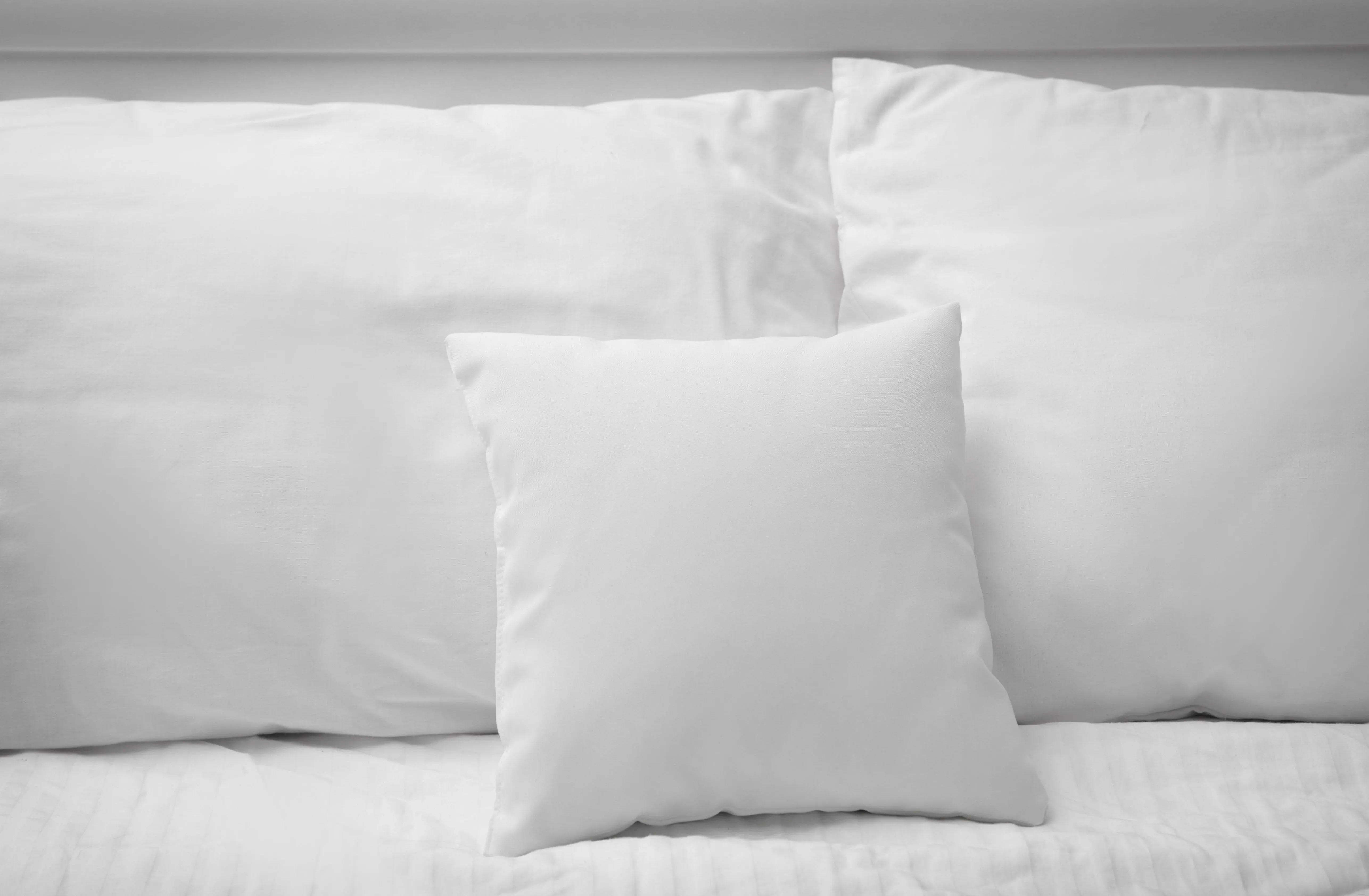 Pillowtex Pillow Insert | 80% White Goose Down