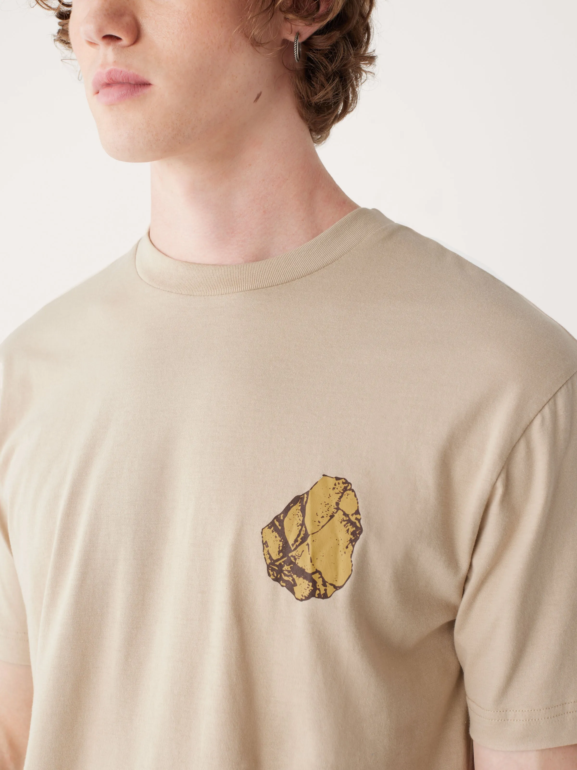 The Relaxed Fit Graphic T-shirt in Hummus Brown